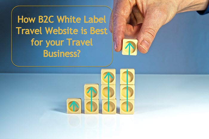 B2C White Label Travel Website